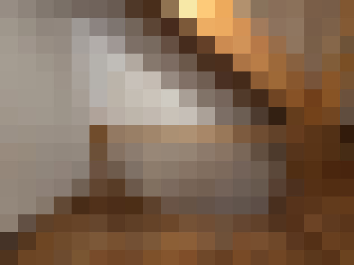  / #8