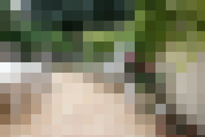  / #15