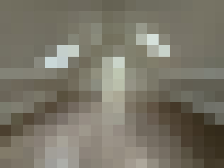  / #6