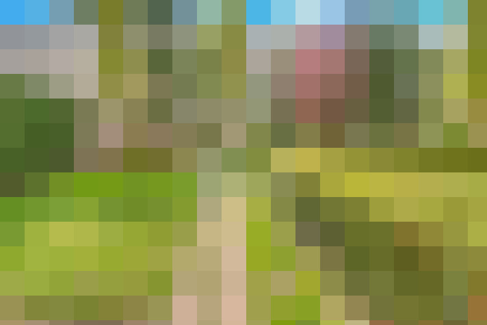  / #9