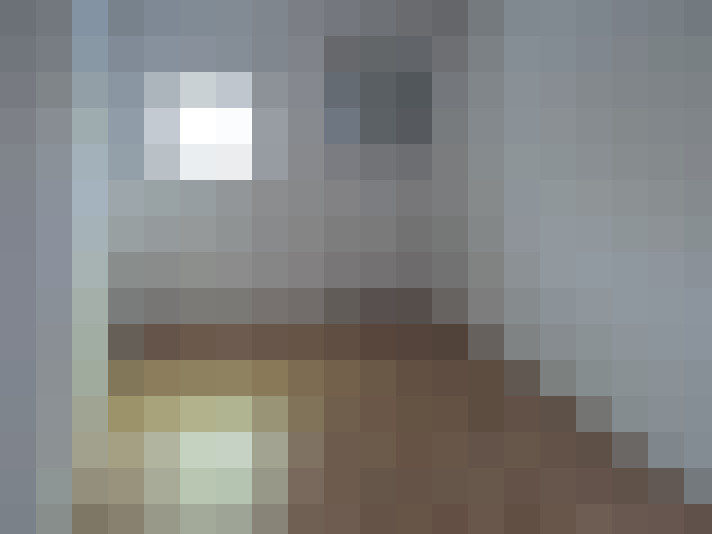  / #6