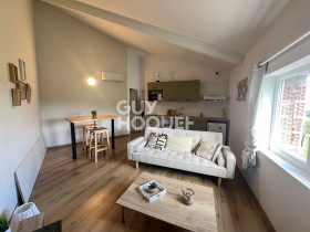 Appartement à Albi