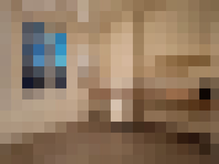  / #2