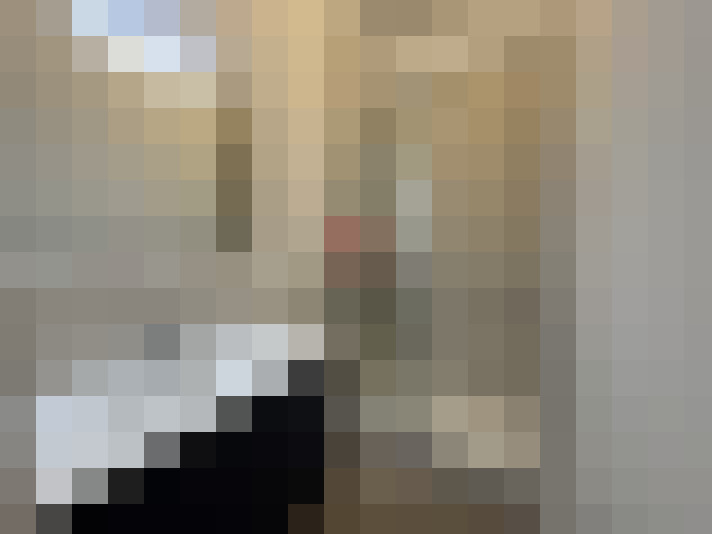  / #8