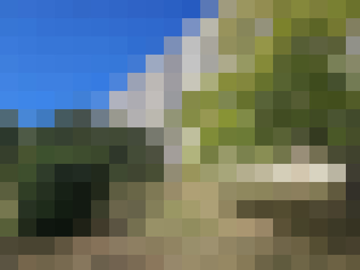 / #6