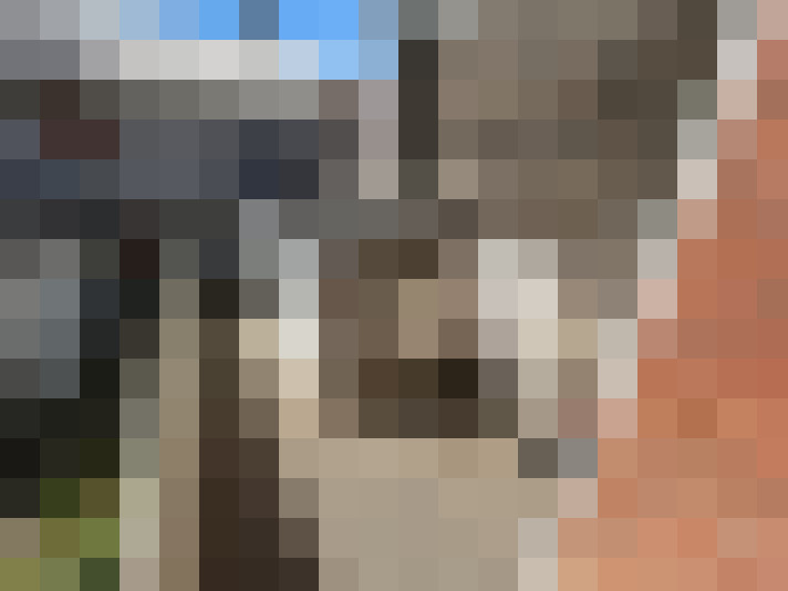  / #7