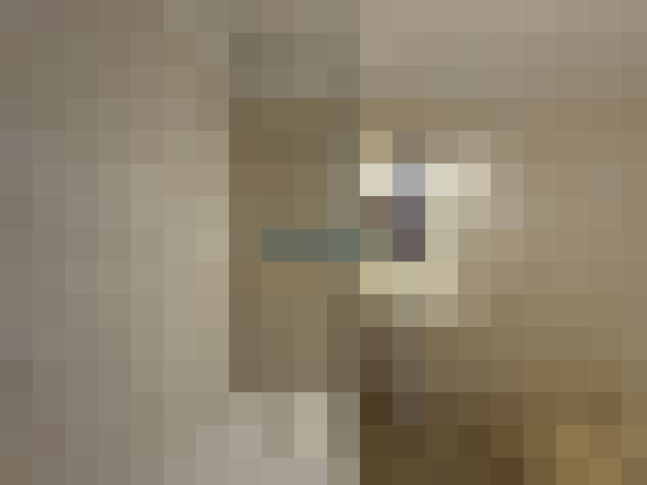  / #8