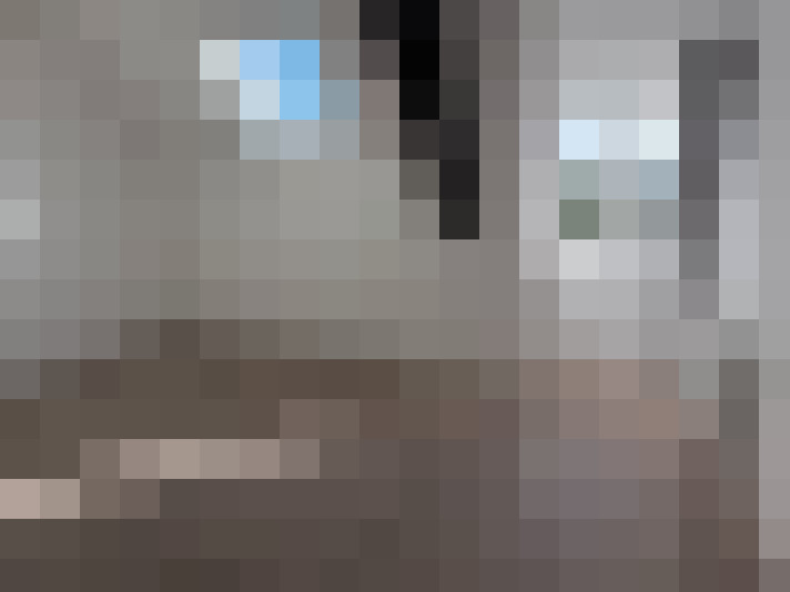  / #11