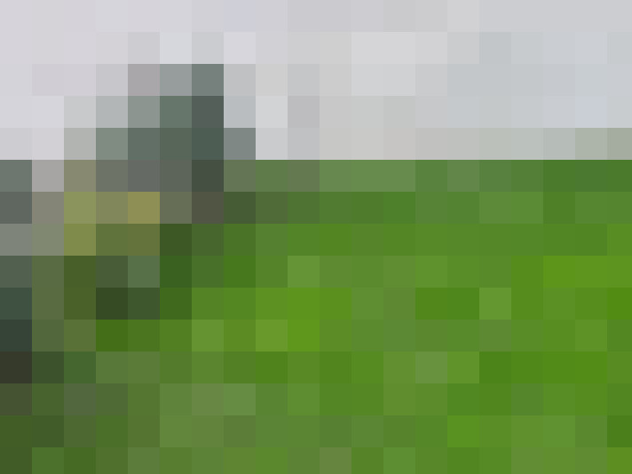 / #16