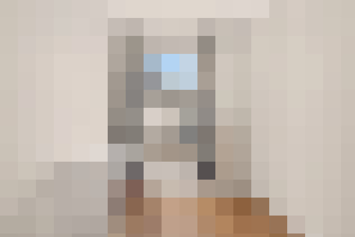  / #6