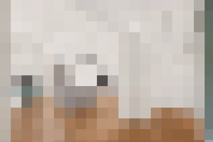  / #14