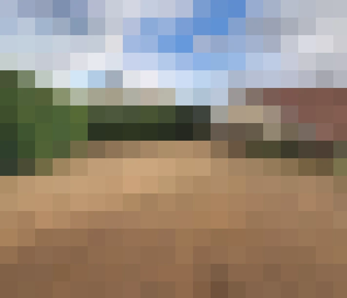  / #13
