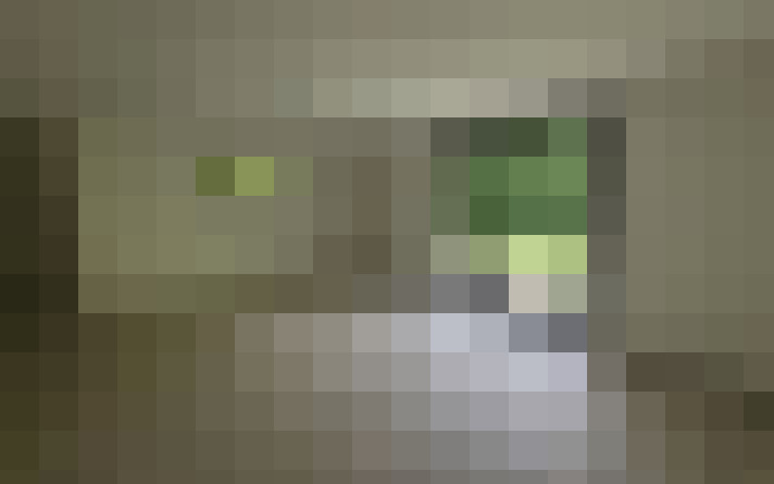  / #15