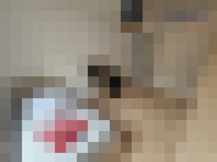  / #9