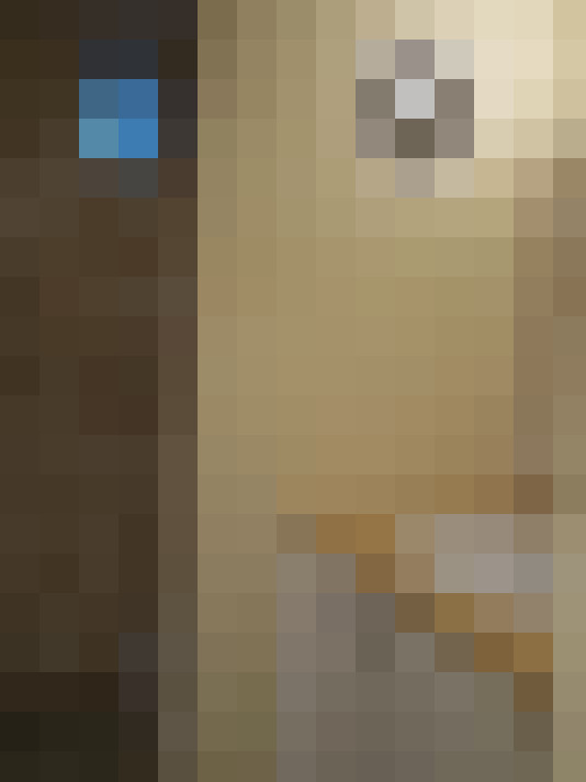  / #6