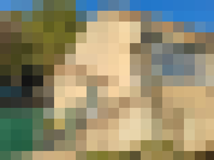  / #17
