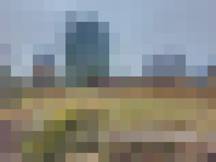  / #6