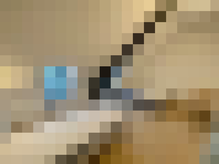  / #12