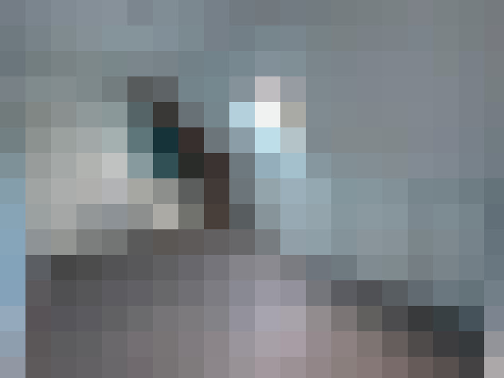  / #13