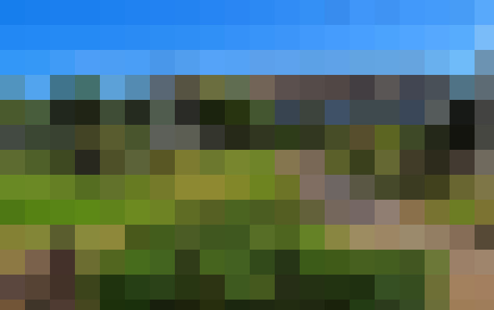  / #13