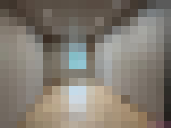  / #7