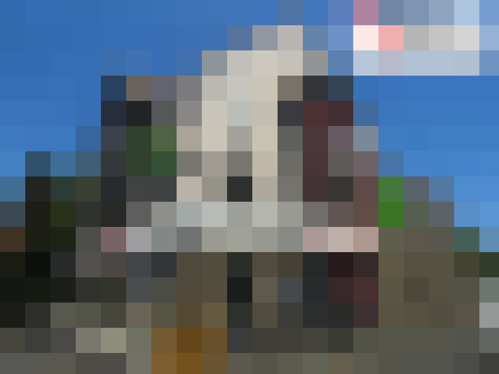  / #6