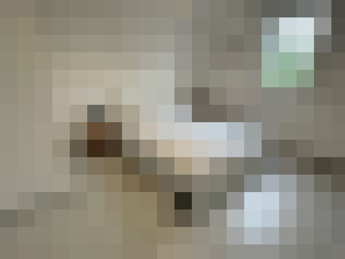  / #7