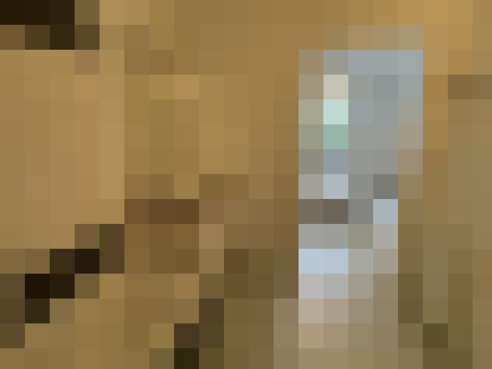  / #11