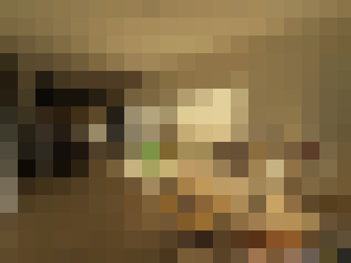  / #8