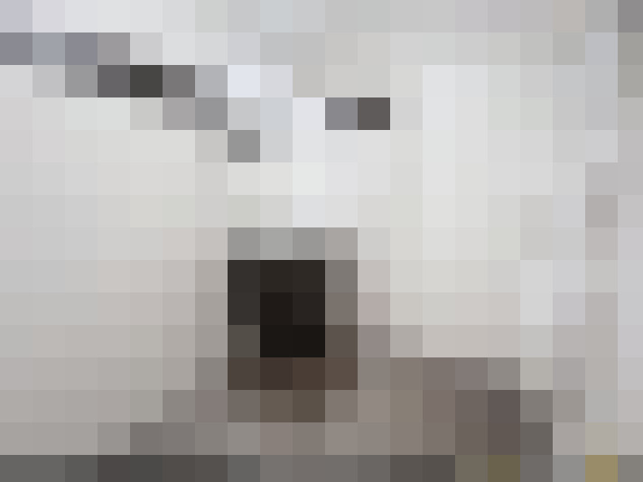  / #9