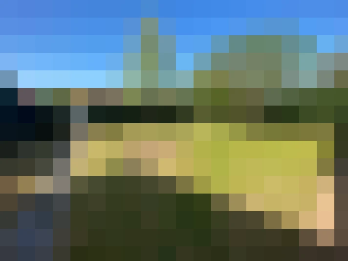  / #11