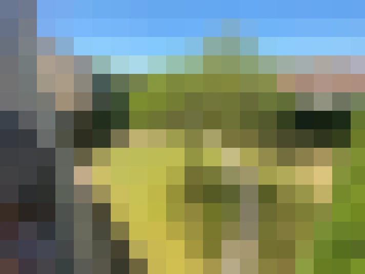  / #15