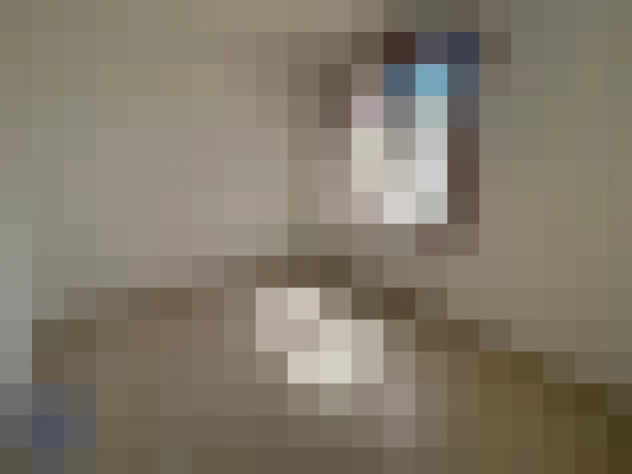  / #6