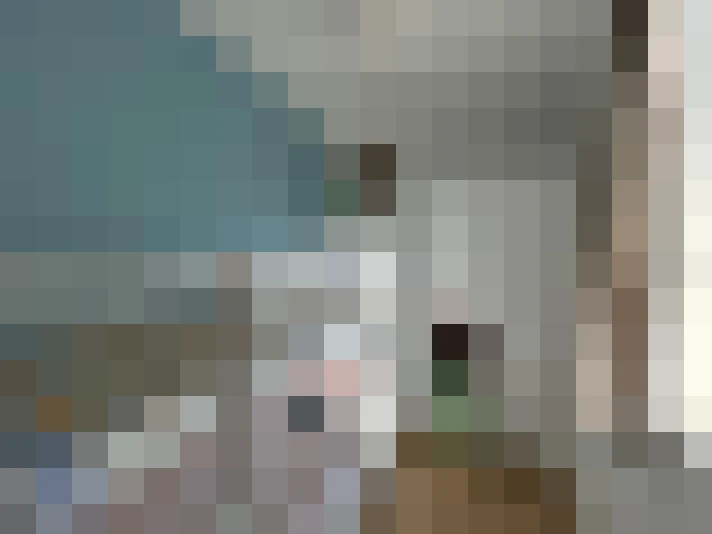  / #16