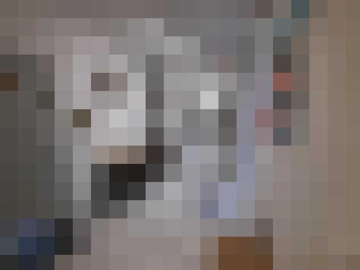  / #7
