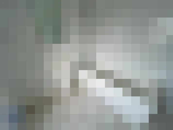  / #14