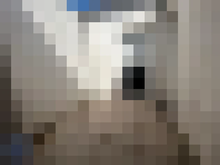  / #8