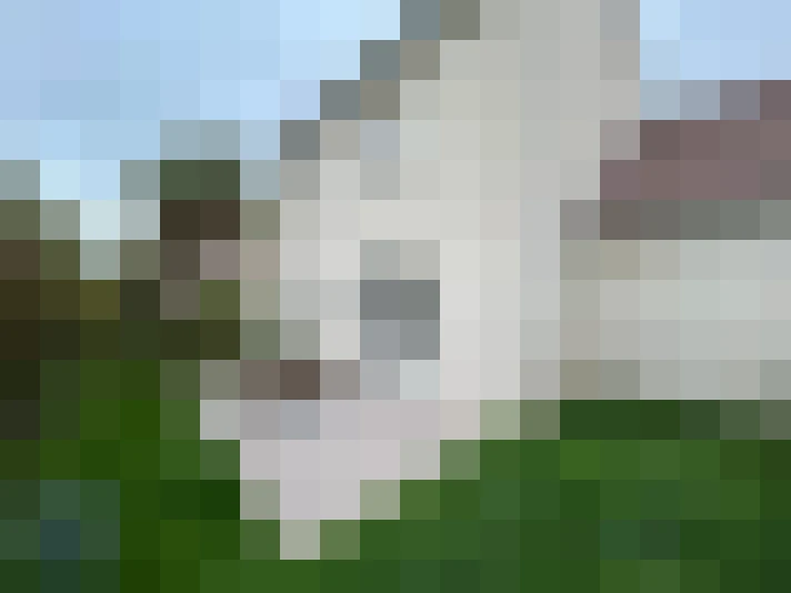  / #8