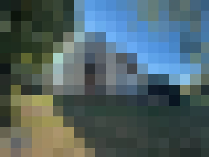  / #19