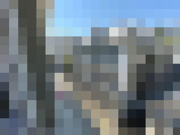  / #8