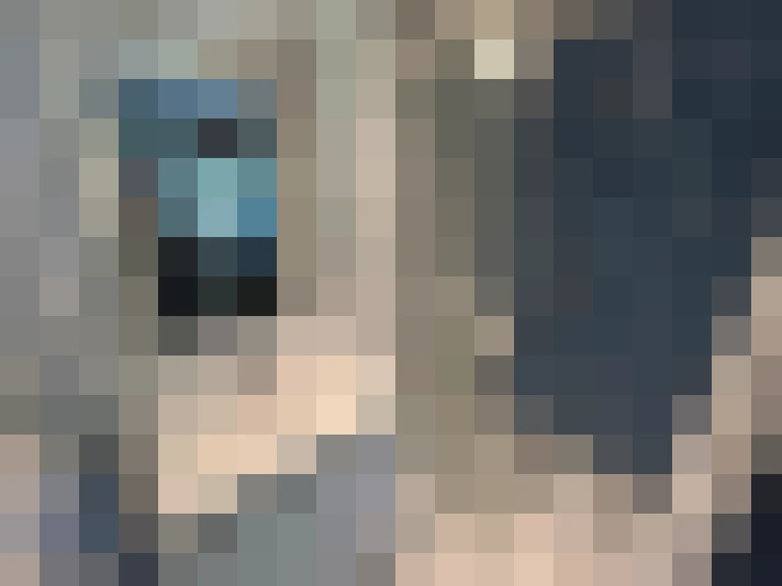  / #8