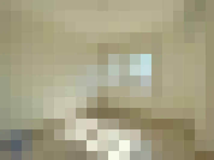  / #6