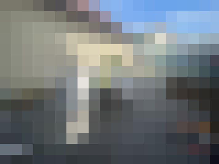  / #8
