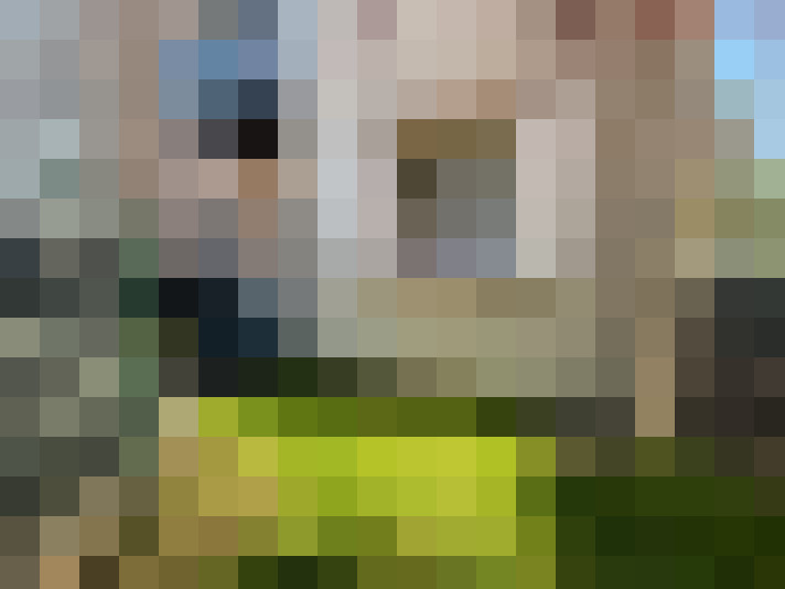  / #7
