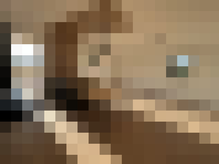  / #4