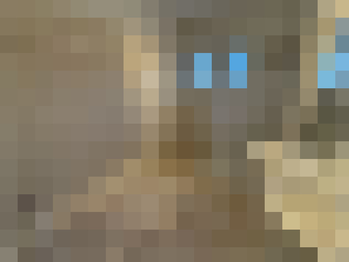  / #6