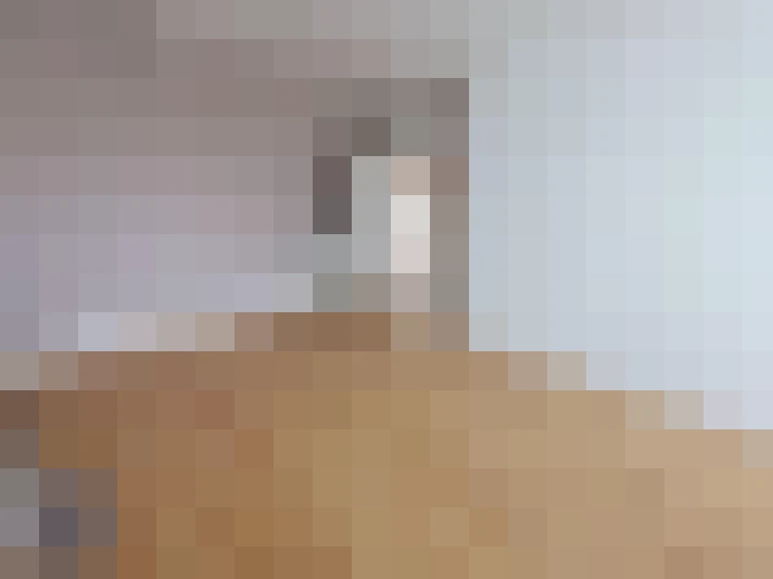  / #8