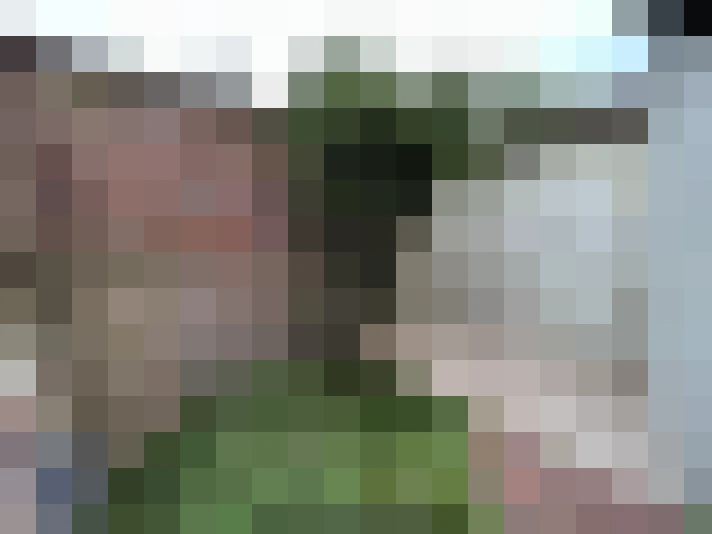  / #8