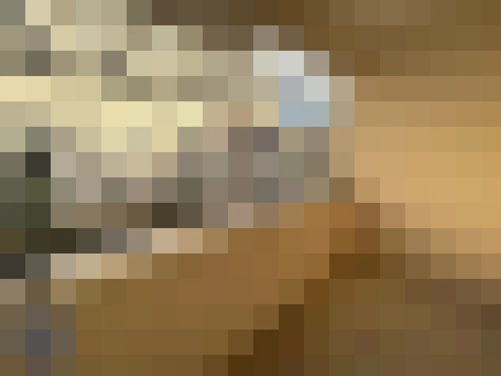  / #8