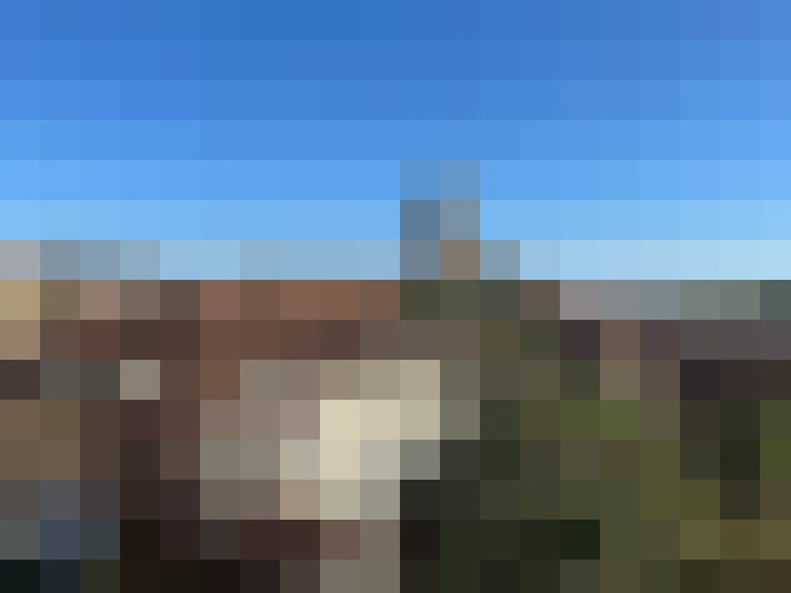  / #8
